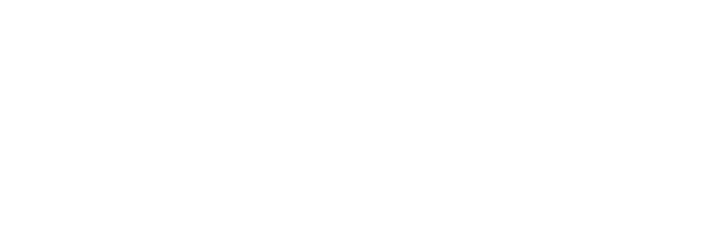 505 Logo